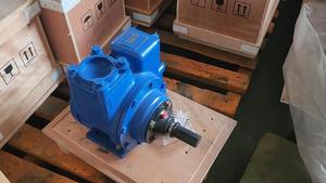 Pompe à palettes coulissantes YB65 pour le remplissage d'huile, pompe rotative pour carburant diesel, pompe de transfert d'essence de 2,5 pouces, pompe à essence - Product Image 2