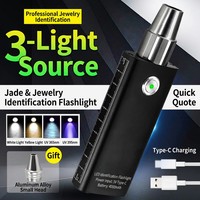 Lampe torche porte-clés IP20 UV 365nm pour inspection de pierres précieuses et de jade, en acier inoxydable, antichoc, durable, OEM ODM personnalisable, vente en gros