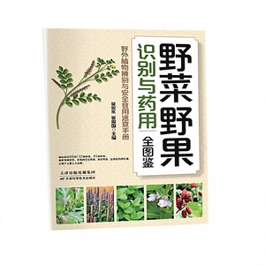 Guía ilustrada auténtica sobre verduras silvestres, frutas, identificación, usos medicinales, consumo seguro, modelo de guía para principiantes - Product Image 1