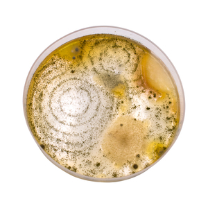 Bambini Spy Kit <span class=keywords><strong>Detective</strong></span> STEM giocattoli educativi regali per 8 9 10 anni ragazzi ragazze - Product Image 3