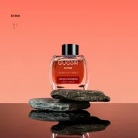Diffuseur de parfum à base d'eau, nouveau parfum aromathérapeutique aux fruits et aux fleurs, flacon carré, 60-90 jours, utilisation à l'hôtel, à la maison, intérieur, élimination des odeurs