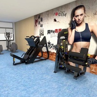 Máquina de prensa de piernas bilateral de acero para gimnasio comercial, entrenador de músculos lineales sentado, con sistema de carga, para levantamiento de pesas, con seguridad.