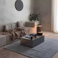 Table basse de luxe minimaliste durable, aspect haut de gamme, pour salon, usage domestique, table à thé carrée, petit appartement, finition mate brossée