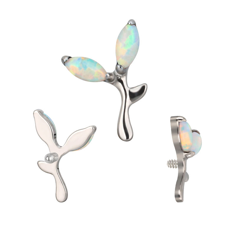 ทีบี-1446 OP17