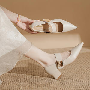 Zapatos Mary Jane de Color Sólido Blanco con Tacón Bajo y Grueso, Punta Puntiaguda, Estilo Slip-On para Uso Diario - Product Image 1