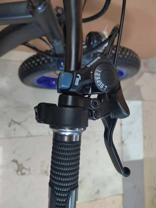 Bicicleta Eléctrica de Montaña Personalizada de Fábrica, 48v 300/500w, <span class=keywords><strong>Fatbike</strong></span>, 26*4.0, Precio Económico, Bici-elettrica - Product Image 3