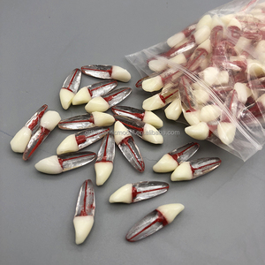 Modèle d'entraînement endodontique avec couronne blanche, nerf rouge, racine naturelle, modèle de pratique endodontique, cavité pulpaire, modèle dentaire d'entraînement endodontique - Product Image 2