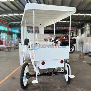 ZHENDA Voiture électrique biplace Princesse des rêves en forme de calèche de chevaux en cristal, couleur personnalisable, populaire pour mariages, événements et complexes hôteliers de luxe - Product Image 4