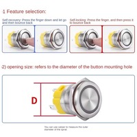 16/19/22/25mm anneau LED en acier inoxydable illuminé bouton poussoir en métal 12V étanche momentané auto-réinitialisation 3A symbole de puissance