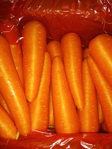 Hữu cơ toàn bộ hộp tươi cà rốt và tỏi ngọt ngon ngọt nhà máy bán buôn Chất lượng cao giá thấp Cung cấp rau - Product Image 2