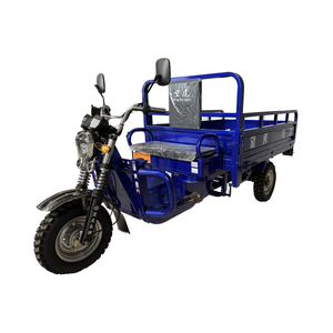 2024 Best Safety Popular 60V 1000W <strong>Electric</strong> Yellow Body Adult Tricycle Cargo OEM Lights Open Max Body Trip Power <strong>Rickshaw</strong> - Product Image 3