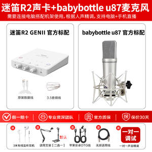 Carte son pour ordinateur MIDI R2 Gen II avec <span class=keywords><strong>microphone</strong></span> sans fil via <span class=keywords><strong>USB</strong></span> et batterie 1000-1499 mAh pour le streaming en direct et le karaoké - Product Image 6