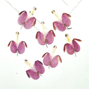 12 cái/gói chảy máu tim ép thực vật cho Nến làm thủ công tự làm nhựa nghệ thuật Khung nhà Deco. - Product Image 3