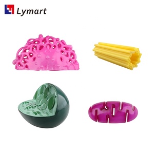 Modelo de orgánulos: Mitochondria, Cloroplasto, <span class=keywords><strong>Golgi</strong></span>, Centrosoma - Product Image 6