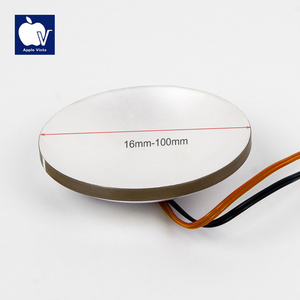 Ultrasoon vetverbrandende schoonheidstransducer Ultrasone sensor <span class=keywords><strong>PZT</strong></span> Piezo-keramiek Directe montage Op maat gemaakt Op maat gemaakte frequentie - Product Image 5