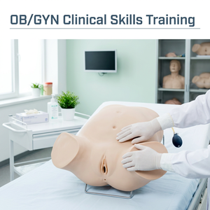 Modello di <span class=keywords><strong>Formazione</strong></span> a Quattro Fasi per la Palpazione in Ostetricia, per l'Insegnamento e la <span class=keywords><strong>Formazione</strong></span> in Ospedale e nelle Scuole Mediche, Scienza Medica - Product Image 2