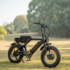 Vollgefedertes Elektrofahrrad vollfederung Elektro-E-Bike Doppelmotor Doppelbatterie E-Bike 52V Elektro-Mountainbike