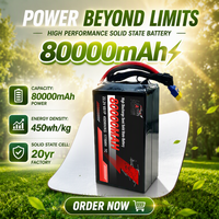 Batterie à semi-conducteurs 450 Wh/kg 22,2 V 6S 6S1P 80 Ah 80000 mAh Cellule LiPo pour Octocoptère UAV VTOL Drone de transport lourd agricole