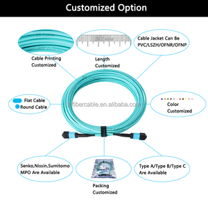 <span class=keywords><strong>MPO</strong></span>-<span class=keywords><strong>MPO</strong></span> sợi quang vá dây OM1 OM2 <span class=keywords><strong>OM3</strong></span> OM4 om5 Jumper vá Cáp <span class=keywords><strong>MTP</strong></span> SC/APC FC LC SC UPC Patchcord <span class=keywords><strong>MPO</strong></span> Trunk Cáp - Product Image 2