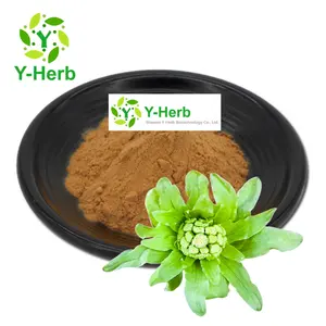 Precio al por mayor de fábrica Petasites Hybridus extracto en polvo Natural orgánico Butterbur extracto de hoja 10:1 Butterbur extracto