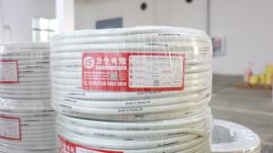 高纯铜家用电线BVVB 1.5 2 4 6 10平方毫米聚氯乙烯绝缘护套家用电线电缆 - Product Image 5