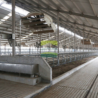 Conception clé en main d'une ferme bovine et ovine avec approvisionnement complet en équipements pour l'utilisation dans les fermes laitières et ovines