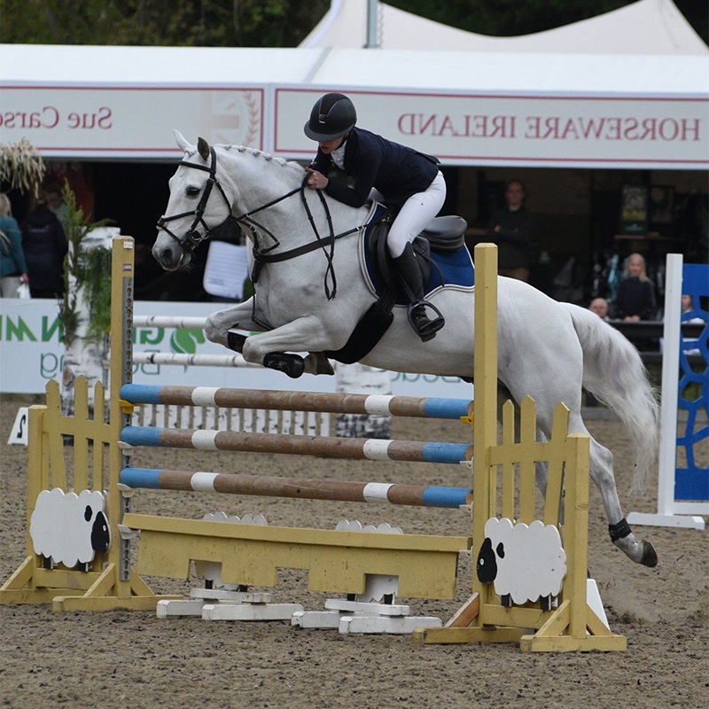 Portable Custom Equestrian Horse Jump Obstacles