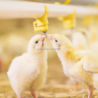 Système d'abreuvement automatique YYC le plus vendu pour volailles, tétines à eau pour poulets de chair avec pince pour élevages avicoles