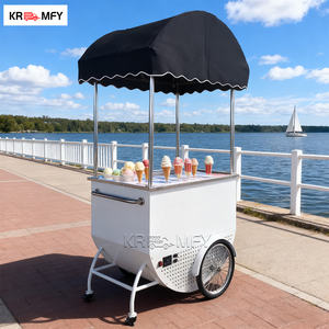 Carrito Móvil Resistente a la Oxidación, Remolcable, Metálico, para Venta de Helados y Comida Rápida al Aire Libre - Product Image 1