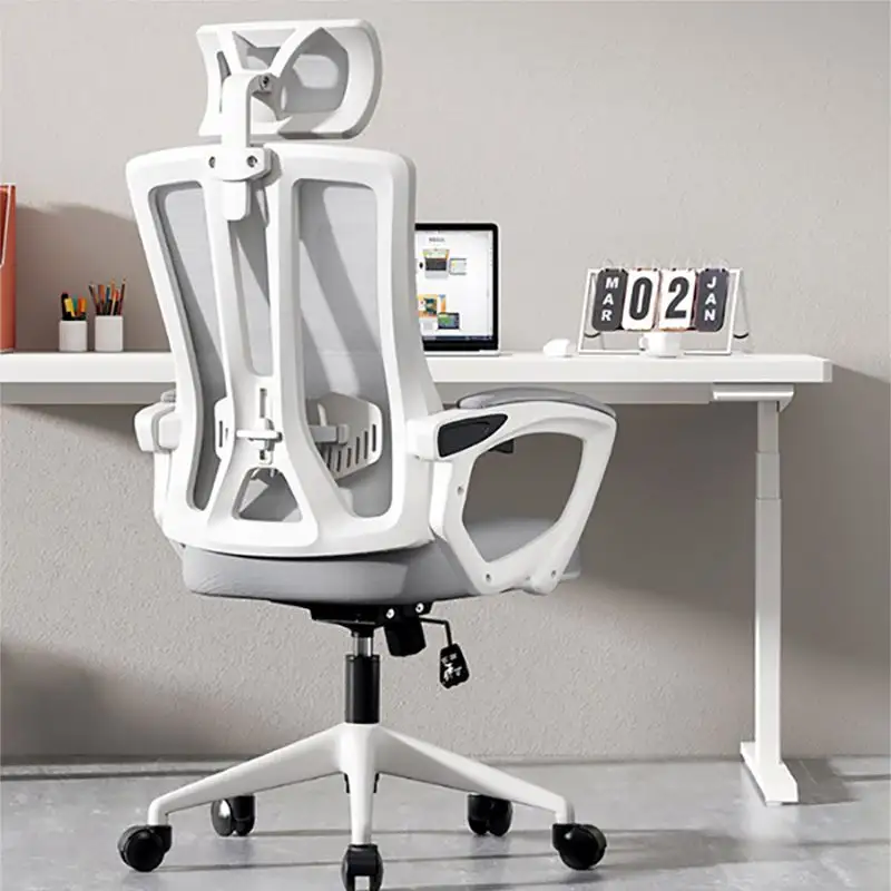 كرسي مكتب يمكن التحكم في ارتفاعه، كرسي ذو شبكة، كرسي ذو تصميم محوري ومكتب للاستخدام المحدد، كرسي ركبة أنيق للمكتب