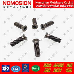 Tornillo de Cabeza Torx M5x13 7.2 82 T20 para Piezas de Maquinaria para Trabajar la Madera, Acero de Alta Precisión - Product Image 4