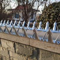 Grands pointes murales anti-escalade, pointes de sécurité pour clôture, protection supérieure des murs en acier galvanisé pour clôtures périmétriques