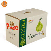 Benutzer definierte bedruckte Papp trage Box Kunststoff griff Personal isierte Obst Geschenk verpackung Landwirtschaft Kissen druck Starre Boxen