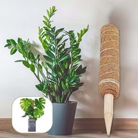 Tuteur flexible en fibre de coco écologique pour plantes grimpantes, support pour tomates, poteau en mousse pliable pour Monstera domestique