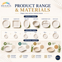 Juegos de Platos de Papel Personalizados Premium para Bodas y Banquetes, Ecológicos, Marca Privada, Precio al por Mayor, Producción Rápida