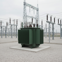 Transformador de Potencia Trifásico Sumergido en Aceite 6kV 10kV 25kV 125kVA 160kVA 200kVA 250kVA 300kVA 20kV Precio