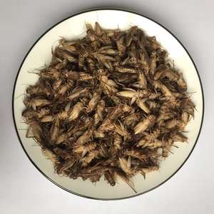 Fissures alimentaires alimentaires pour animaux de compagnie, prix de gros, bouillettes séchées, insectes <span class=keywords><strong>comestibles</strong></span>, alimentaires - Product Image 2