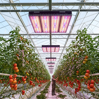 Lámpara LED de Cultivo para Invernadero Comercial de Espectro Completo Lm301h 3030 EVO de 160W 320W 800W, Ángulo de Haz de 90 Grados, Resistente al Agua, para Floración