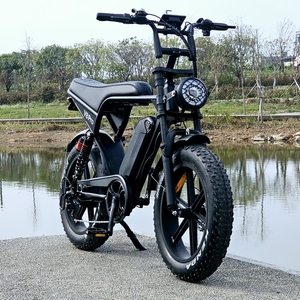 Bicicleta <span class=keywords><strong>Todoterreno</strong></span> V8 Pro de 20 Pulgadas con Llantas Gruesas, 250w, Batería de Litio de 48v, Bicicleta Eléctrica - Product Image 1