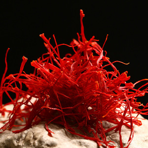 <span class=keywords><strong>Safran</strong></span> cru 100% naturel, <span class=keywords><strong>bulbes</strong></span> <span class=keywords><strong>de</strong></span> <span class=keywords><strong>crocus</strong></span> séchés, herbe biologique, exportation <span class=keywords><strong>de</strong></span> Chine, fabricants, emballage cadeau disponible - Product Image 3