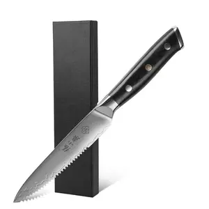 5インチ新着ダマスカス鋼67層粉末鋼G10ハンドルレストランキッチンステーキナイフ