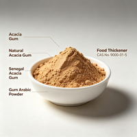 Gomme d'acacia Gomme arabique naturelle Gomme d'acacia Sénégal Poudre arabique Épaississant alimentaire