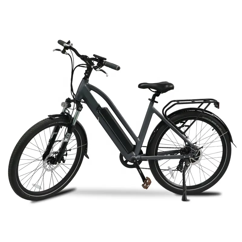 Bicicleta eléctrica con ruedas de remolque, 350w, 500w, 1000w, 36v, 48v, batería de litio