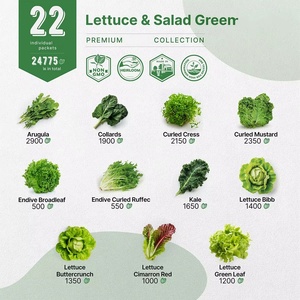 Assortiment de 22 variétés de semences de laitue non-OGM pour salades et légumes verts, pour jardin intérieur et extérieur, y compris l'arugula pour pots suisses et jardinières - Product Image 3