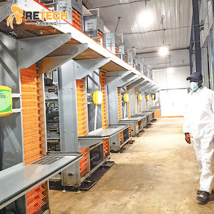 2025 nouvelle conception H Type automatique poulet batterie couche Cages système d'élevage avec collecte des œufs - Product Image 3