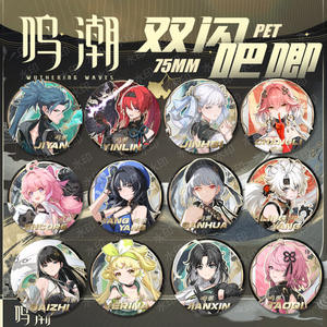 20 styles, 75 mm, Wuthering Waves, Yangyang <span class=keywords><strong>Encore</strong></span>, dessin animé japonais, Baji Ba Ji, anime, badge en alliage, broche, épingle - Product Image 6