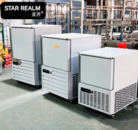 Congélateur à refroidissement rapide compact en acier inoxydable, petite capacité, -45°C, refroidissement par air, sans givre, multi-portes