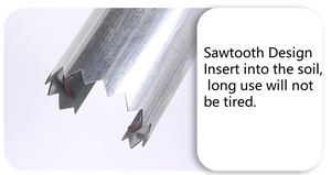 Outil de transplantation de graines en acier inoxydable avec manche en bois pour mini-potager de fraises et légumes - Product Image 3