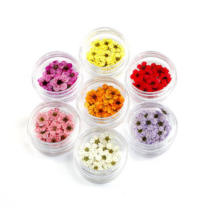 20pcs Natural <b>Dried</b> Flower Nail Stickers 17 Colors Japanese Style 3D Real <b>Petal</b> Decals for DIY Nail Decoration - Product Image 3