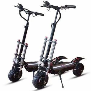 Trottinette pliable Wanyang Factory Direct avec pneus larges de 10 pouces, frein à disque, double moteur brushless 1200W, batterie au lithium - Product Image 1